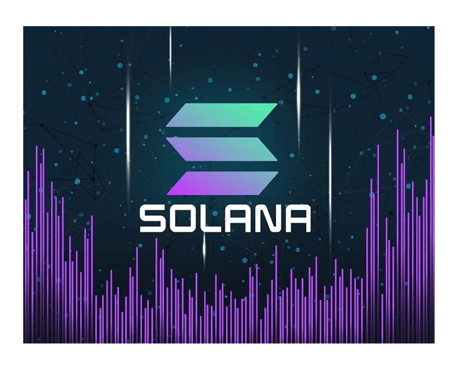 Warto czytać BiThub.pl – Solana dała zarobić