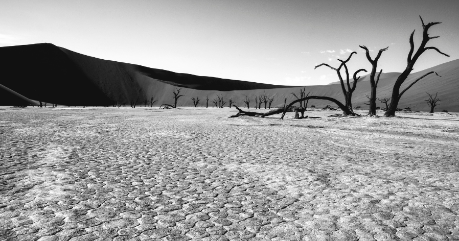 Polowanie na wieloryby – Śmierć czterech krypto-bogaczy!