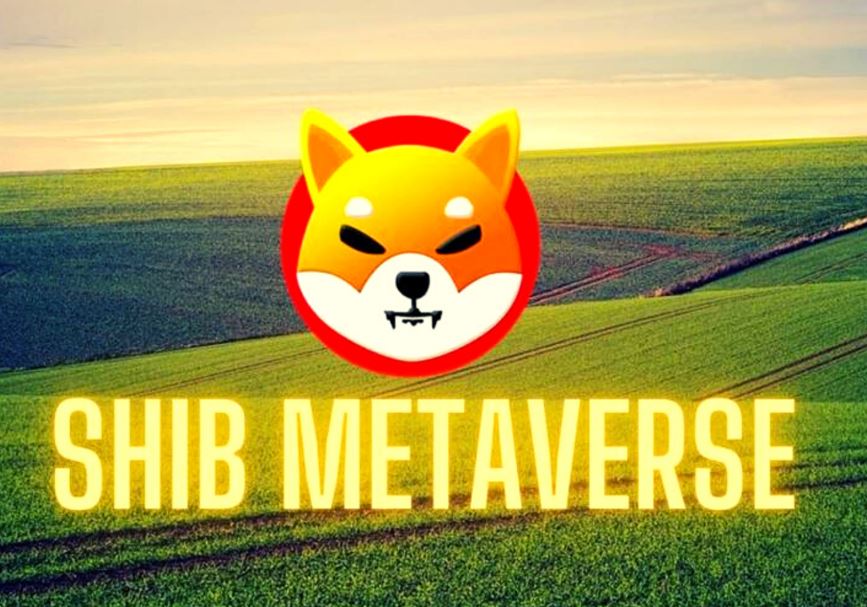 Shiba Inu (SHIB) zaprezentuje prace nad SHIB: The Metaverse na festiwalu filmowym w Teksasie