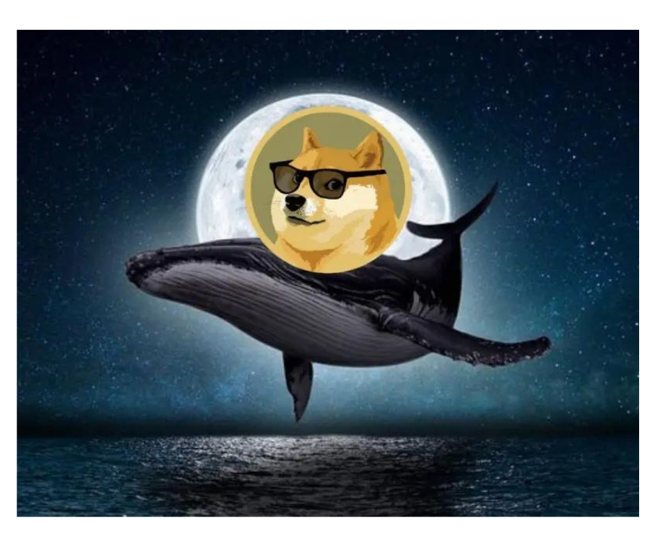 Wieloryb przeniósł na Binance ponad 117 milionów USD w Dogecoinach