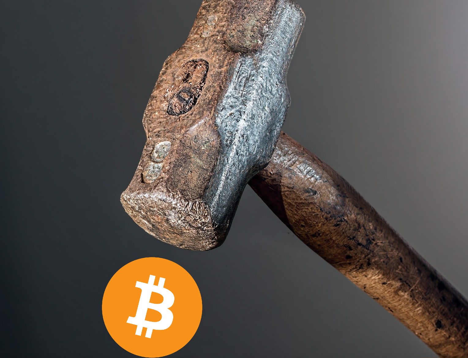 CEO Ava Labs: "SBF wyrządził nieodwracalne szkody"