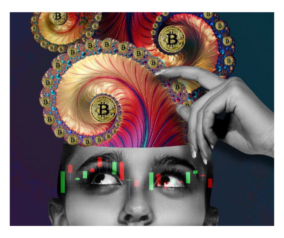 Bitcoin konsoliduje się powyżej 23 000 USD – inwestorzy już czekają na Fed