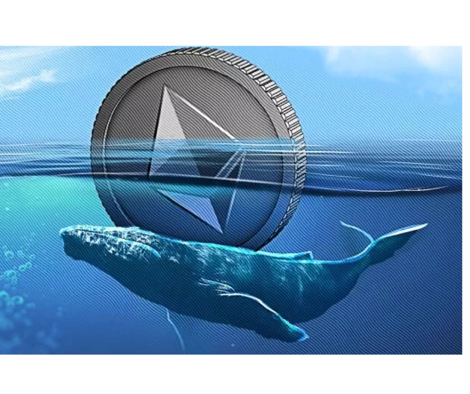 Uśpiony wieloryb przenosi 10 266 Ethereum przed hard forkiem Shanghai