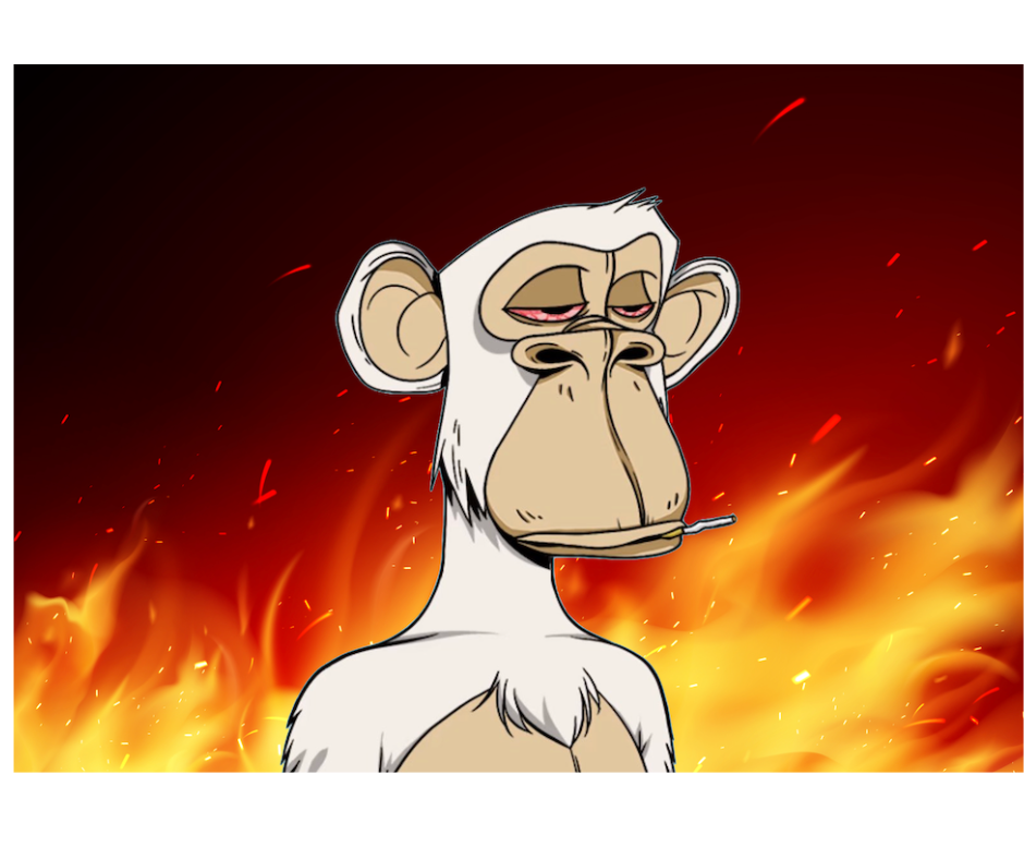 Inwestor NFT przypadkowo spala swojego CryptoPunka o wartości 135 000 $