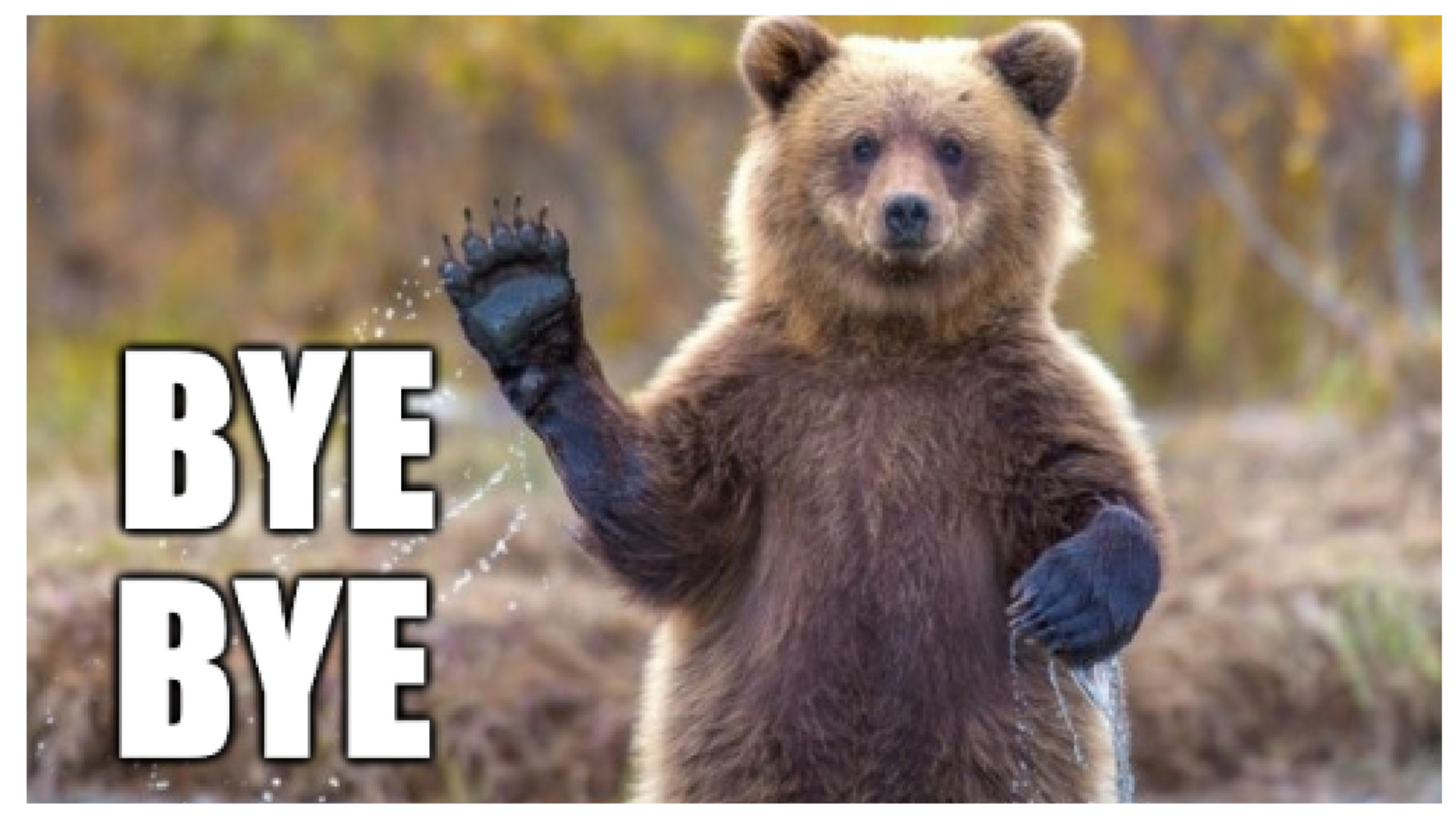 Niedźwiedzie, powodzenia ! Bitcoin zamyka kwiecień powyżej 29 000 USD