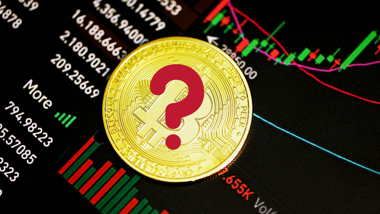 Up only? Panel 32 ekspertów branżowych przewiduje ile wyniesie cena Bitcoina w 2023, 2025 i 2030 r.