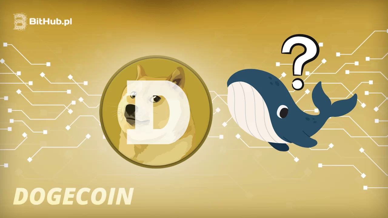 Starożytne wieloryby kryptowaluty Dogecoin przenoszą hurtem tokeny po niemal dekadzie