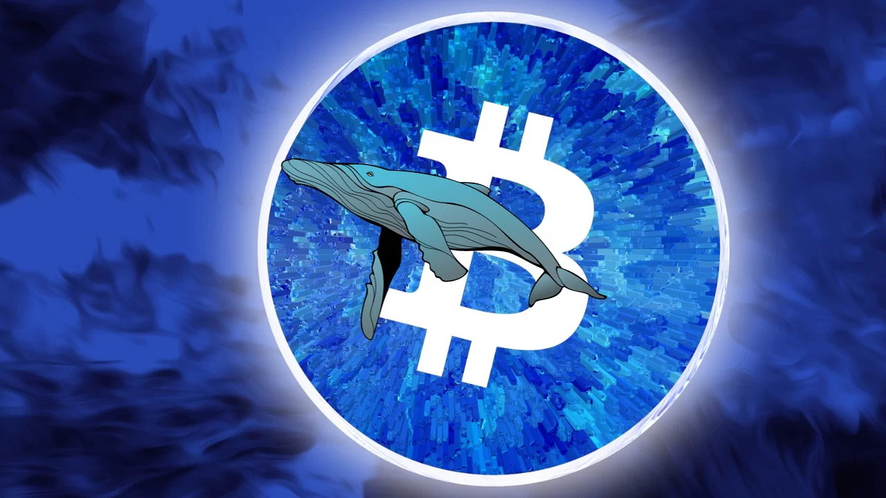 Bitcoin-wieloryb przebudził się i przenosi ogromne sumy. Jaki ukrywa sekret?