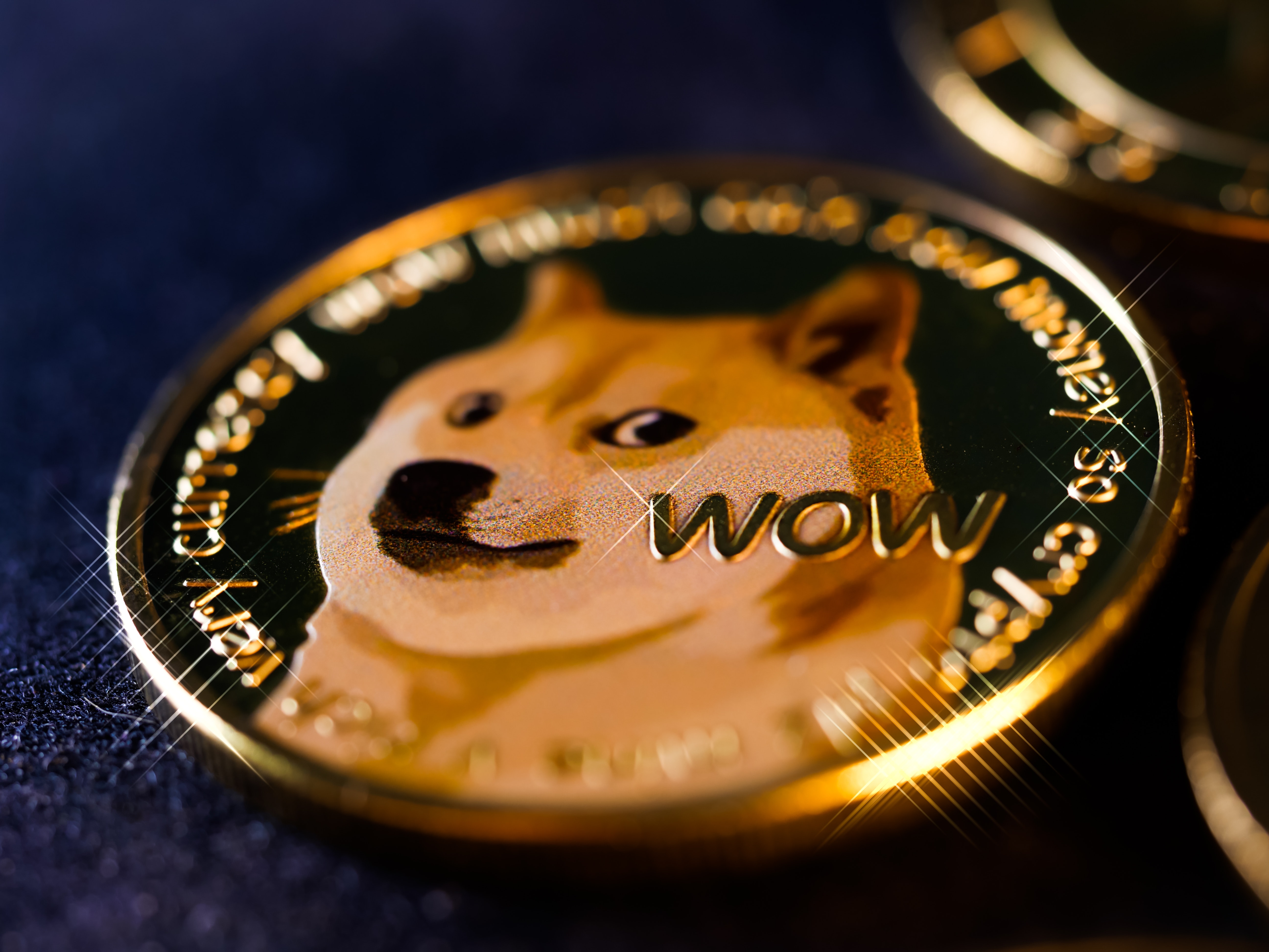Dogecoin dalej szokuje przez Elona Muska – wzrost blisko 15% w ciągu ostatnich 24 godzin. Pójdzie jeszcze wyżej?