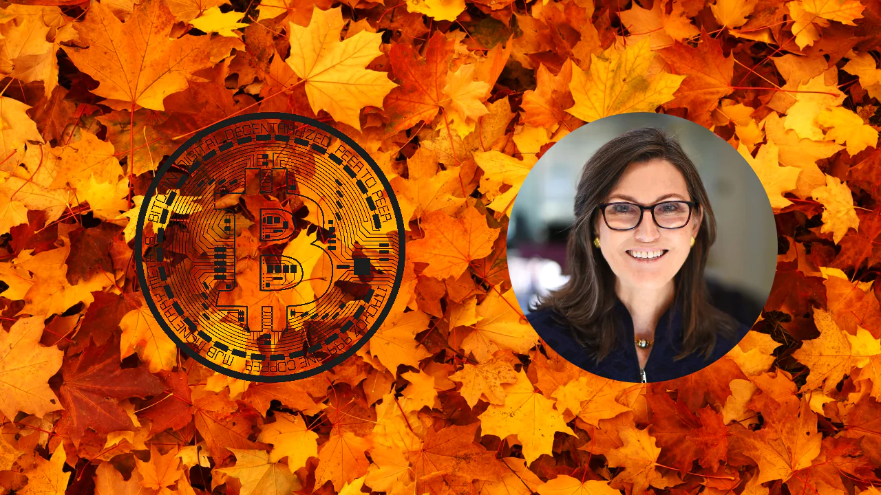 Bitcoin, złoto czy gotówka? Cathie Wood ocenia zagrożenie deflacją. Listopadowe prognozy dla BTC
