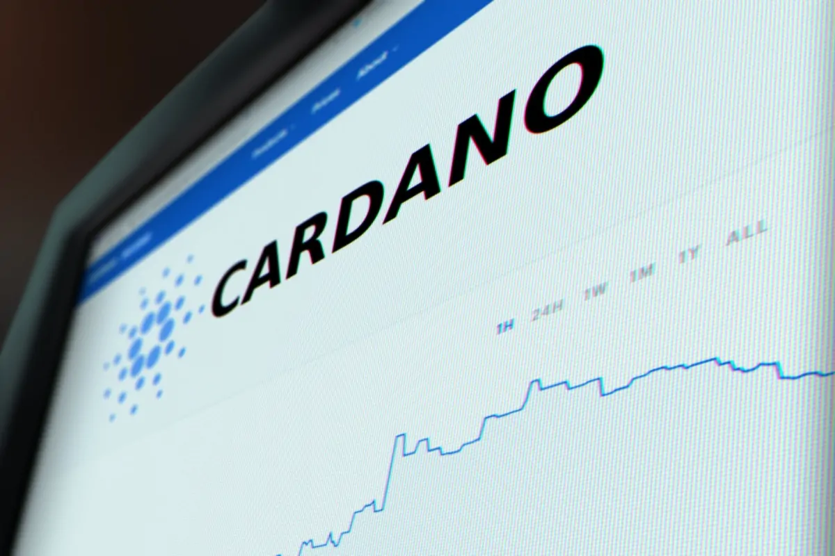 Właściciel Cardano zachwycony własną technologią. „Nie ma lepszego kodu niż nasz”