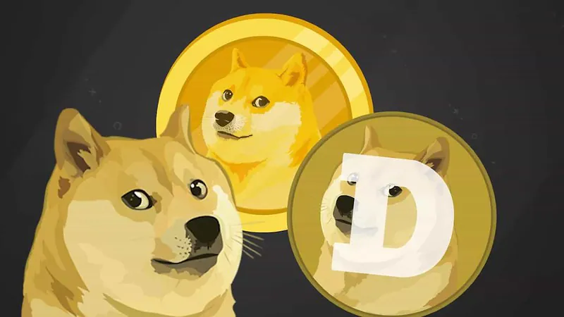 Współzałożyciel Dogecoin wyśmiał szacunki jego majątku. „Gdybym tyle miał…”