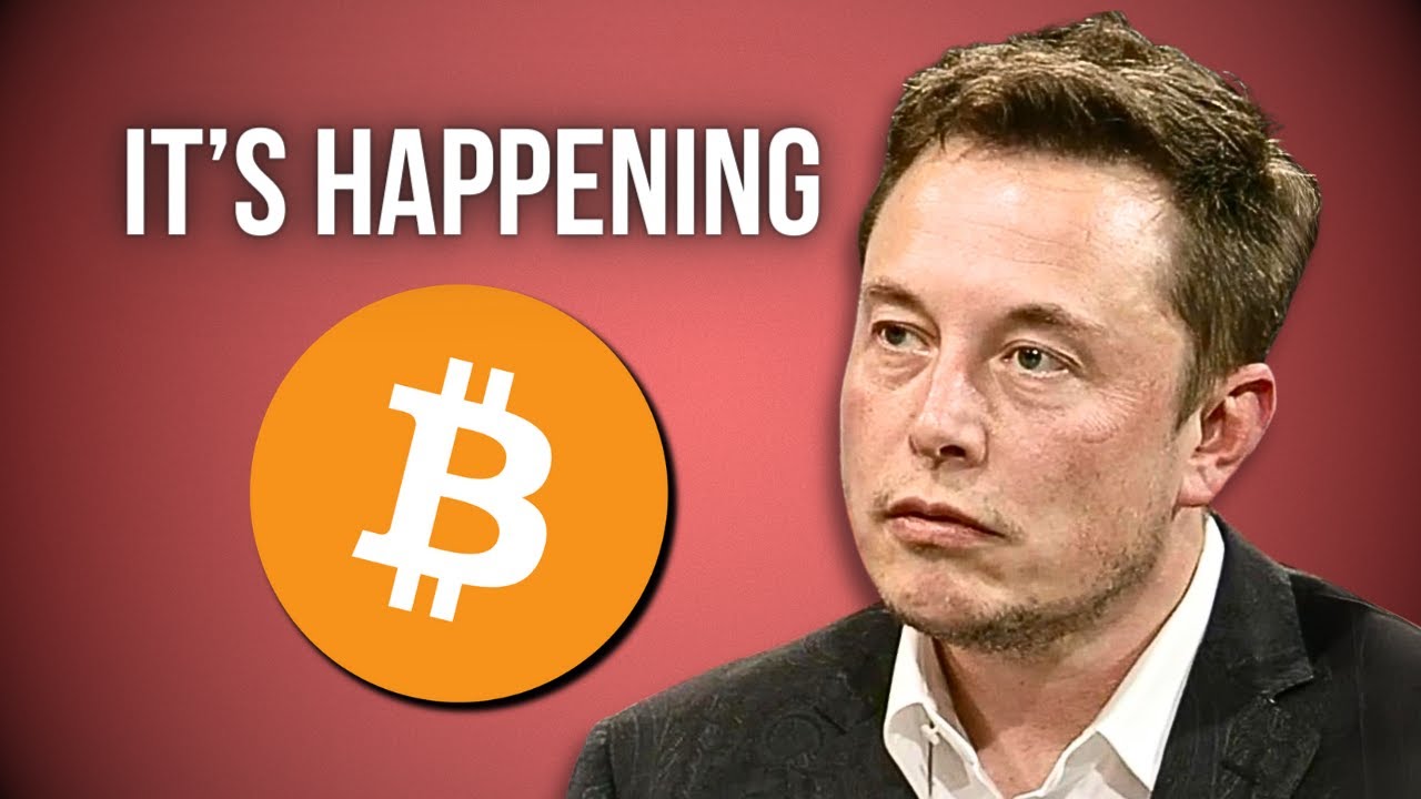Elon Musk i Warren Buffett pokonani. Bitcoin lepszy niż Tesla i Berkshire Hathaway