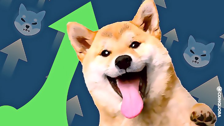Shiba Inu powalczy o 1 USD. Sprawdzamy, jakie ma na to szanse