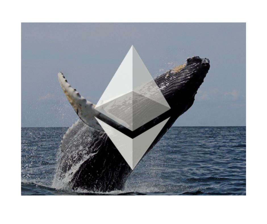 Wieloryby Etherum budzą się po czterech latach i transferują 22 982 ETH