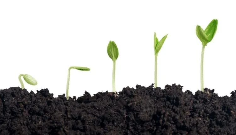 Ta polska spółka jest zaliczana do najbardziej luksusowych marek w Europie. Jakie ma plany rozwoju?