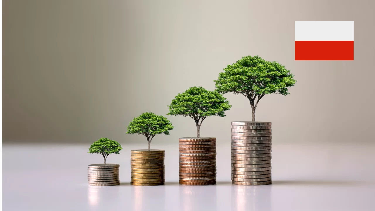 W co zainwestować 50, 100, 500 tys. złotych? Polscy eksperci udzielają ciekawych odpowiedzi