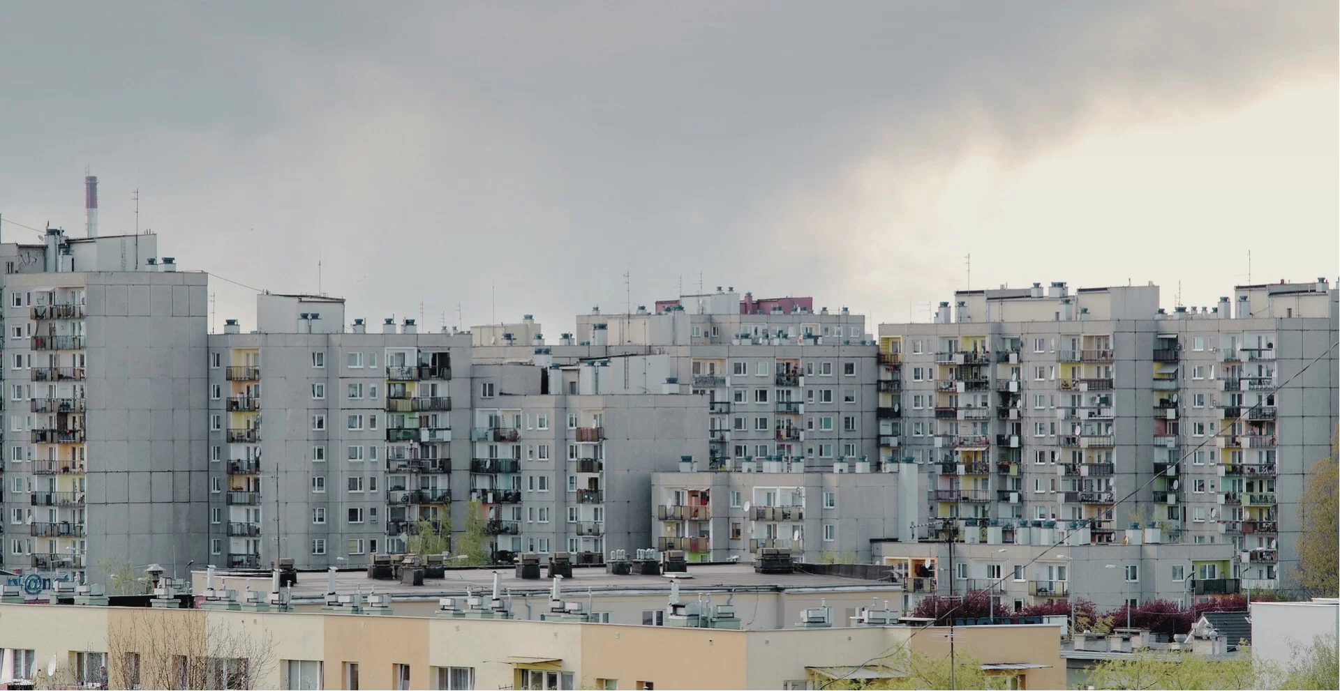 Totalny chaos na rynku nieruchomości w Niemczech. Spełnia się czarny scenariusz MFW?