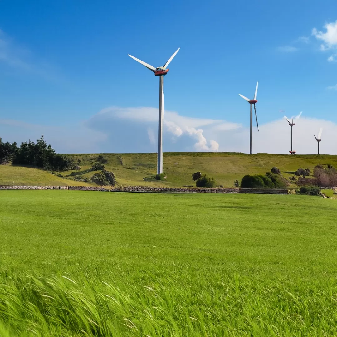 Energetyka wiatrowa w Polsce: potencjał wciąż jest, ale powoli się wyczerpuje