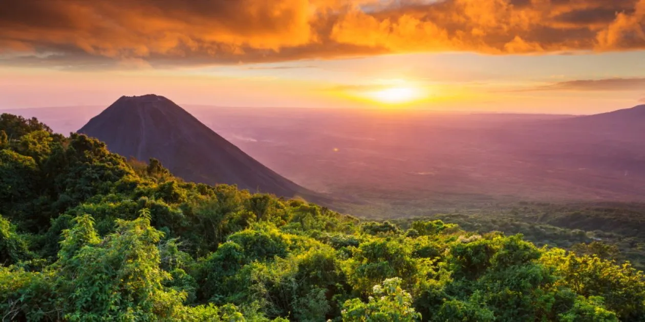 Rewolucja! Google Cloud przez 7 lat będzie digitalizować infrastrukturę i usługi tego kraju