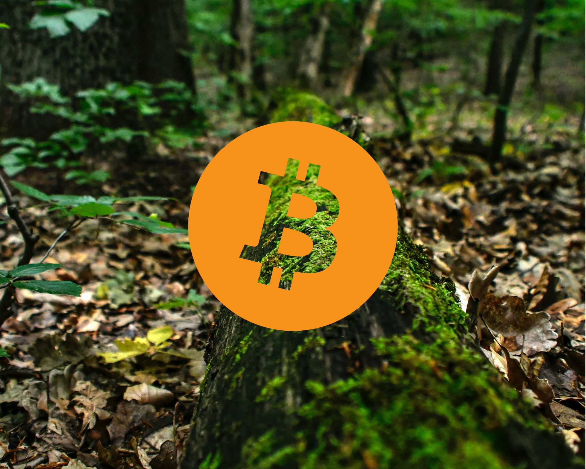 Jaki wpływ ma Bitcoin na środowisko?