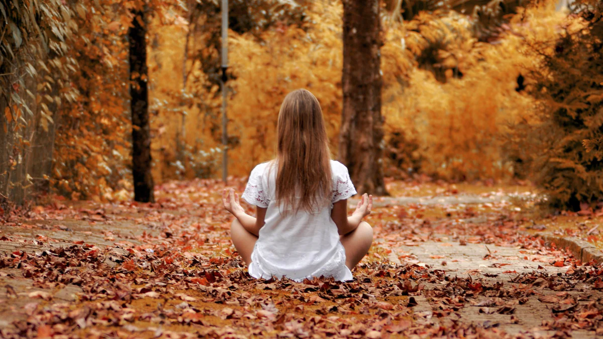 Miła, ciepła jesień? Nie dla branży odzieżowej! Ta przeżywa kryzys spowodowany wysokimi temperaturami. „To klęska”