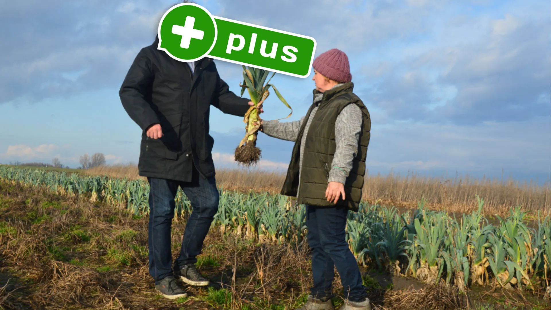 Pora na Pola – dramat inwestorów, miliony dotacji. Upadłość 2 miesiące po zbiórce? Oto 'Crowdinvesting’. Miał być 'Amazon’ i podbój rynku