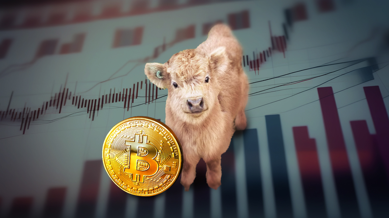 Te altcoiny mogą prześcignąć Bitcoina zdaniem analityków