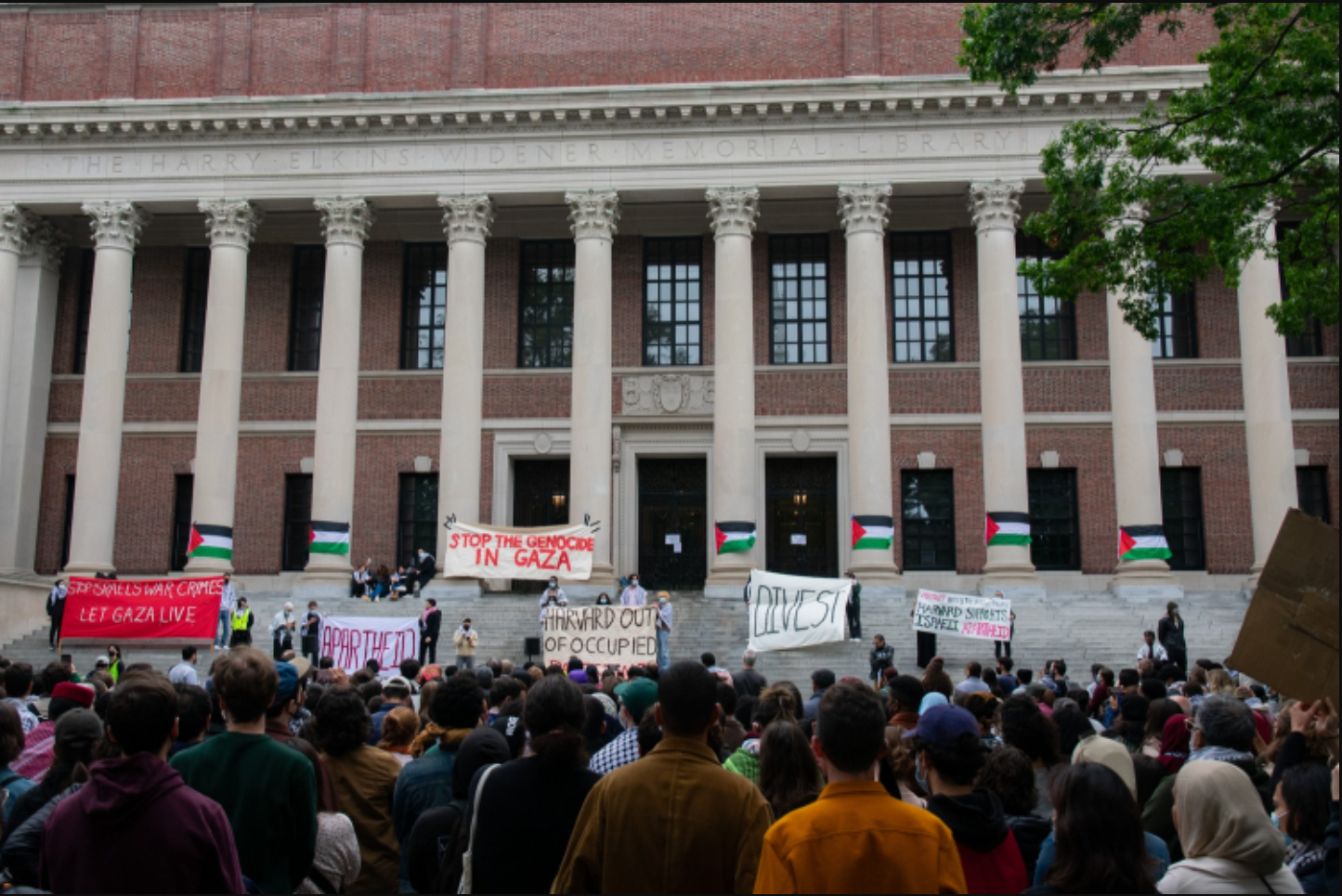 Problemy amerykańskich uczelni. Oskarżenia o antysemityzm, w tle duże pieniądze