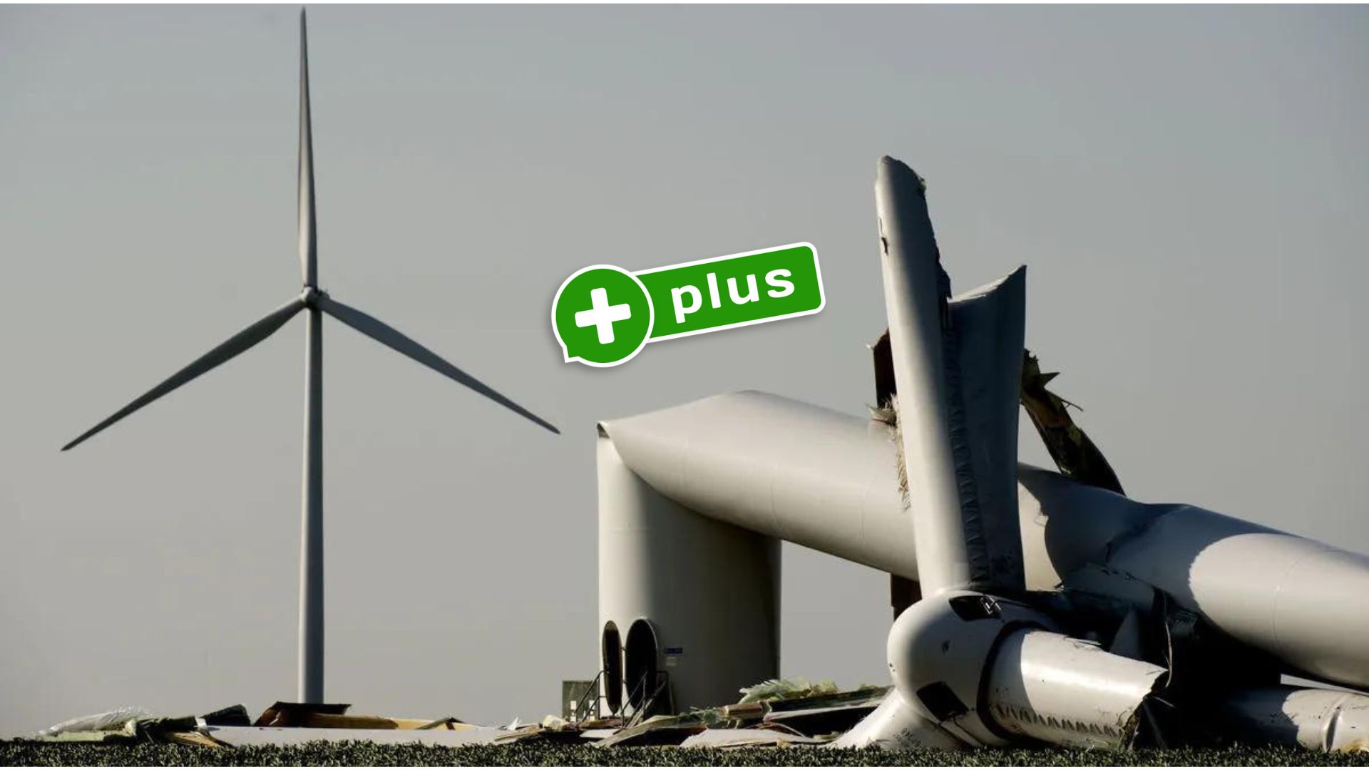 Farmy wiatrowe to 'wielkie oszustwo klimatyczne’ za które płacą podatnicy. Hipoteza 'foliarzy’ czy gorzka prawda?