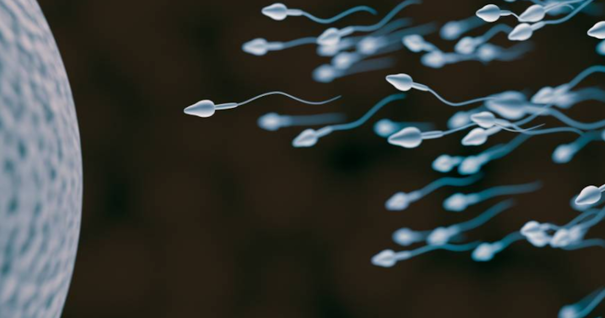 Oto, jak zmienia się płodność u kobiet i u mężczyzn w ciągu całego cyklu życia