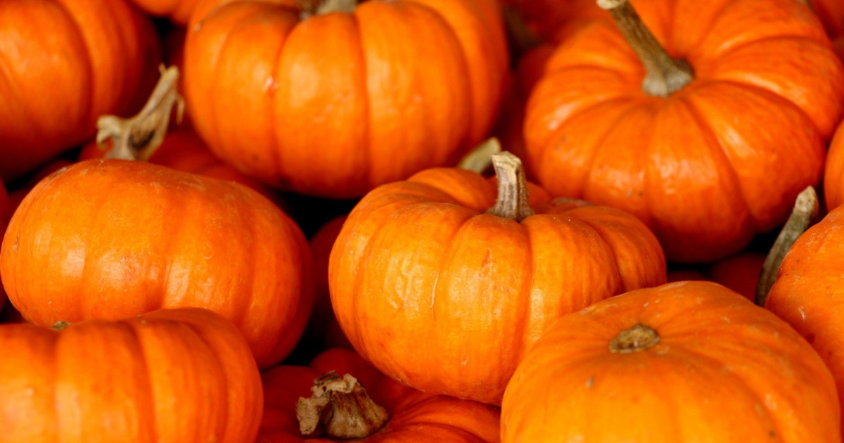 Co można zrobić z dyni? Przedstawiamy zdrowe i smaczne pomysły na jej wykorzystanie