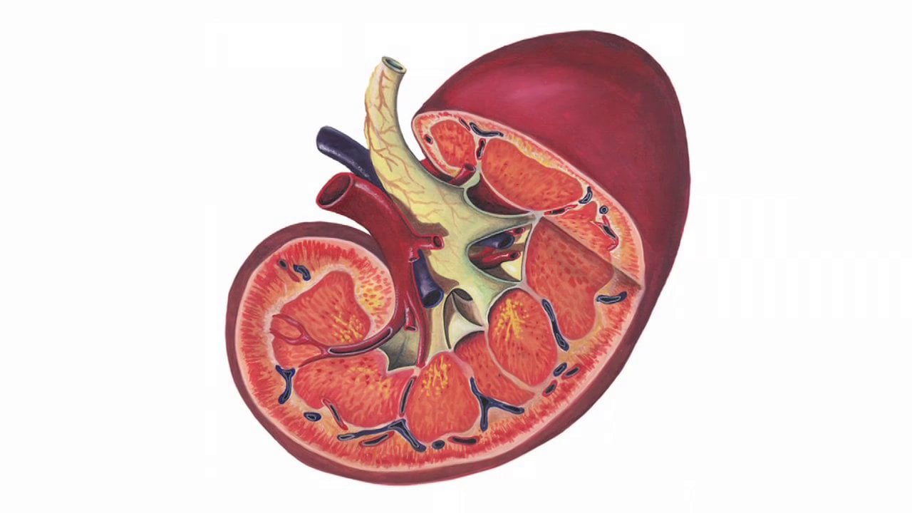 Cytrusowy lek rozbije kamienie nerkowe. Działa równie skutecznie jak leki