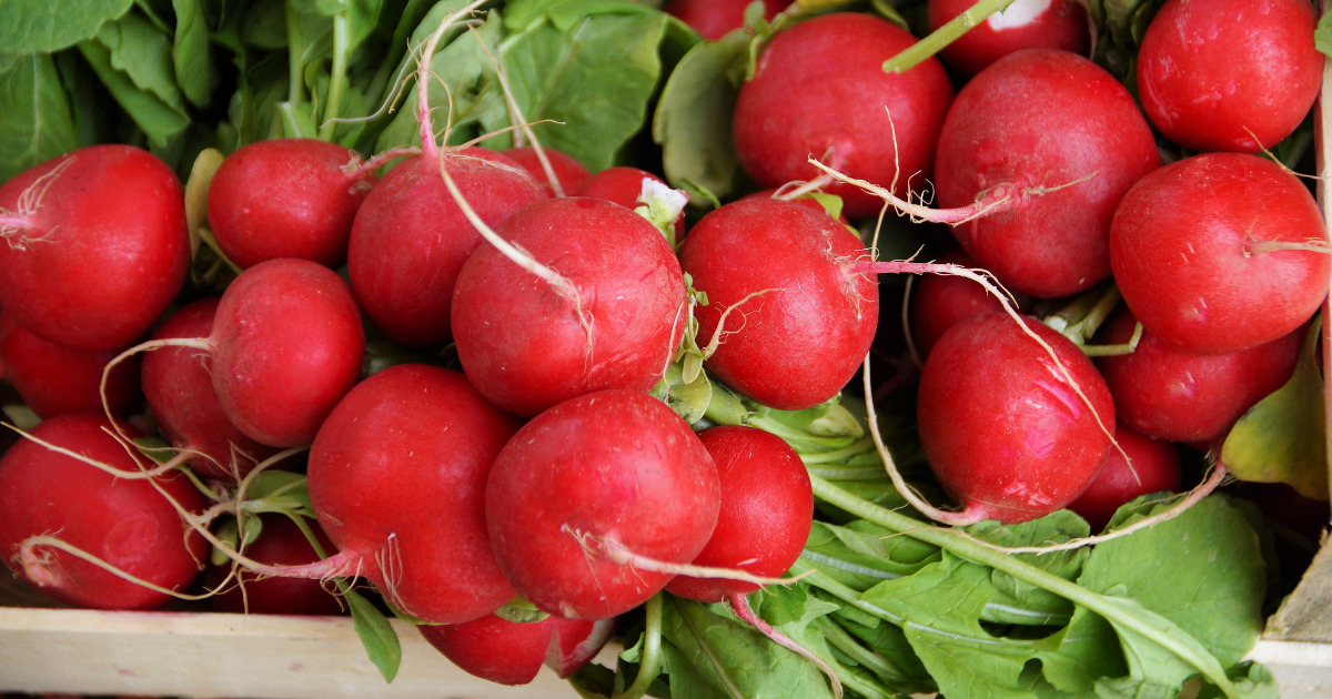 10 korzyści zdrowotnych wynikających ze spożywania rzodkiewki. To nasz polski superfood