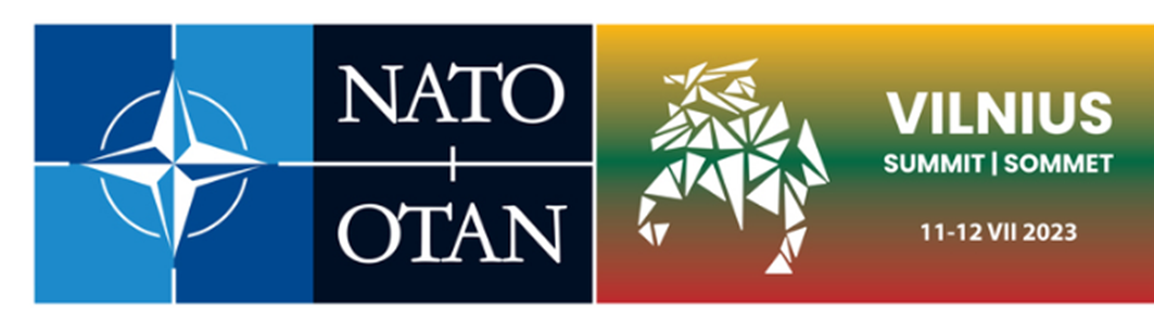 Szczyt w Wilnie – dla niektórych niedosyt, dla innych niesmak, ale czy na pewno?