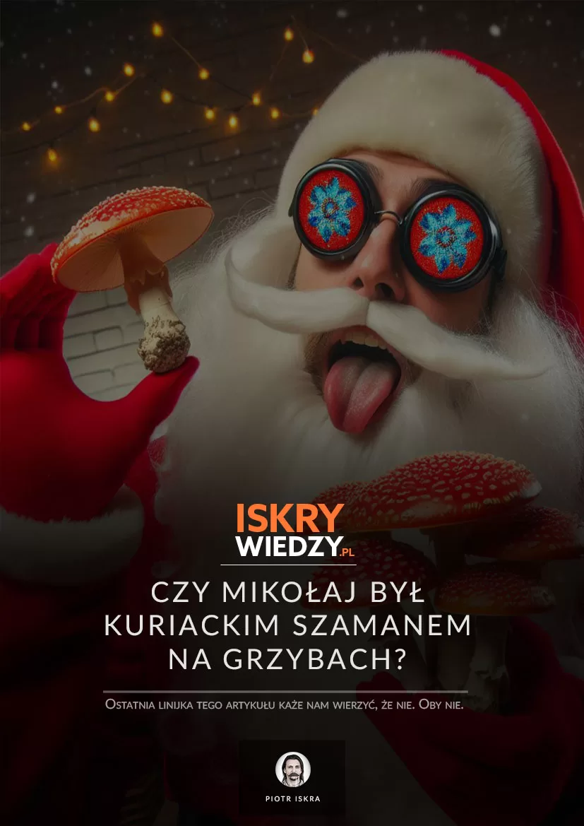 Połączenie świętego Mikołaja, świąt, muchomorów, halucynków i… sami się przekonacie