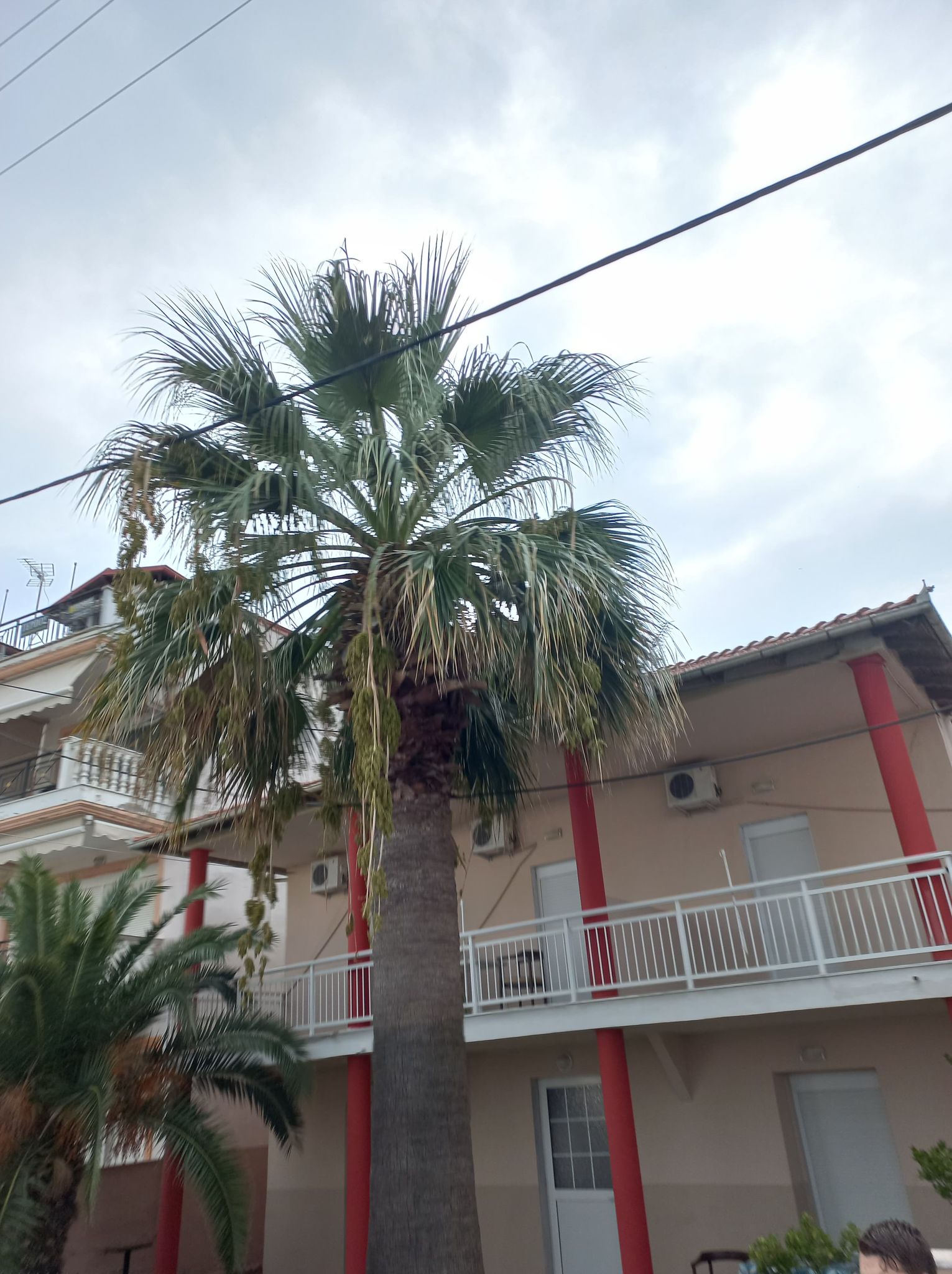 Zdobywają doświadczenie w Grecji