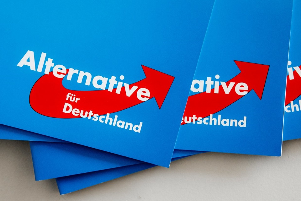 Alternatywa dla Niemiec (AfD). Odc 3  – Kim są jej wyborcy?