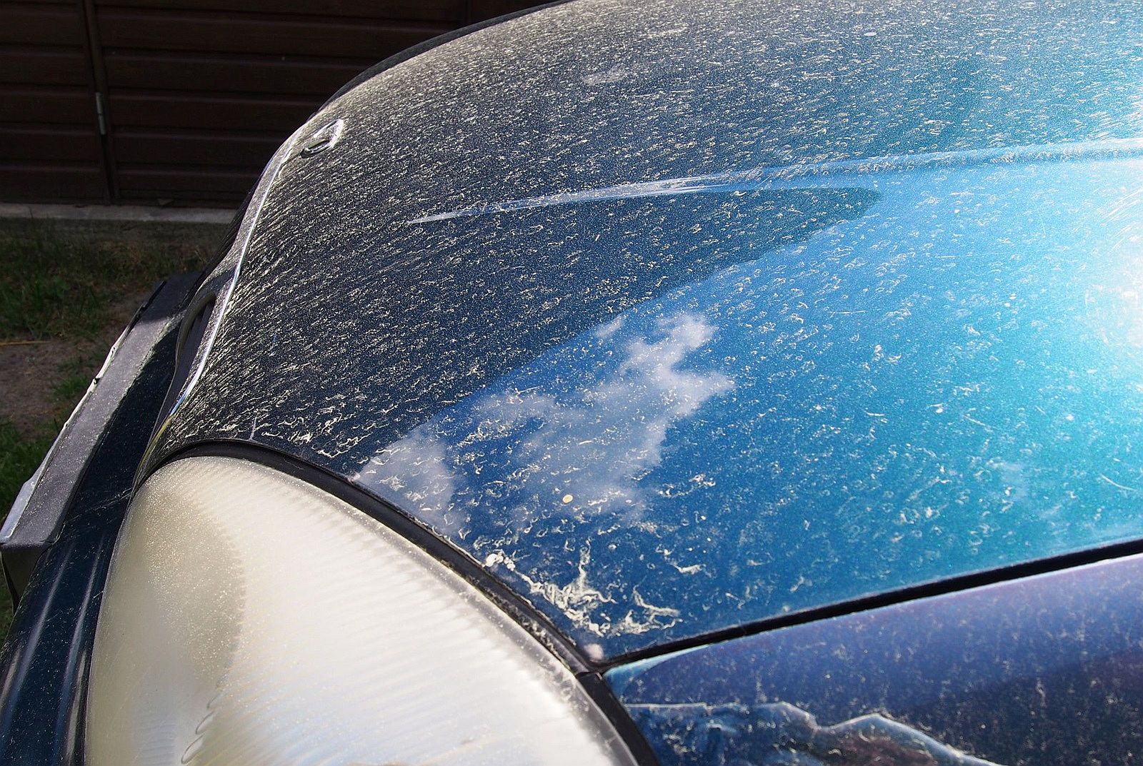 Żółty pył na samochodach. Wystarczy jeden błąd, by narobił poważnych szkód