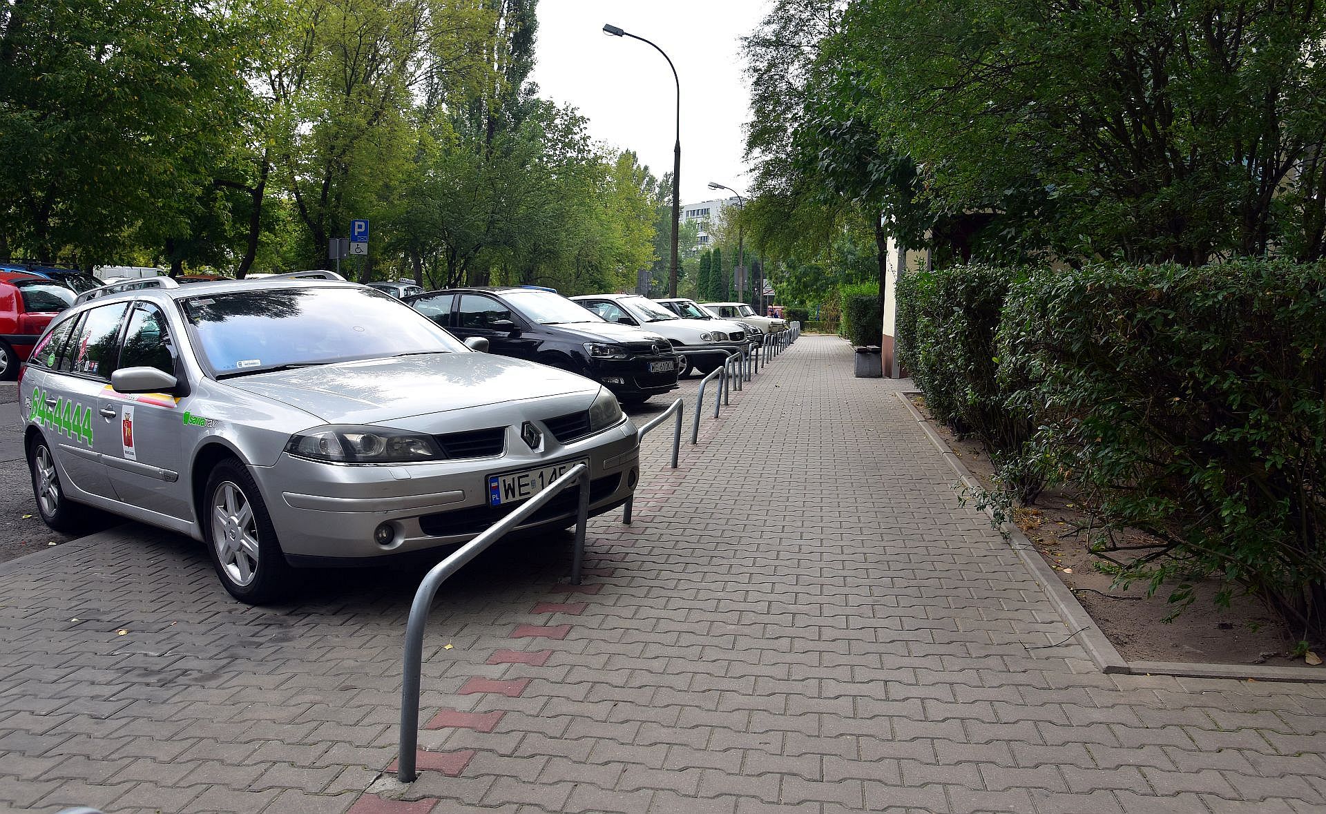 Droga dla pieszych. Wciąż mało kto wie, jakie obowiązują na niej przepisy