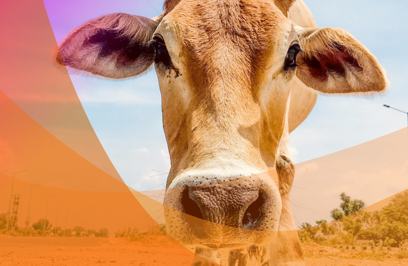 Nawet wielcy są dojeni, gdy nie zadbają o bezpieczeństwo