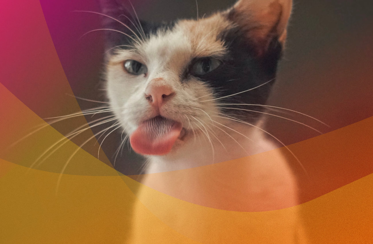 Jak skutecznie wykorzystać język korzyści w sprzedaży