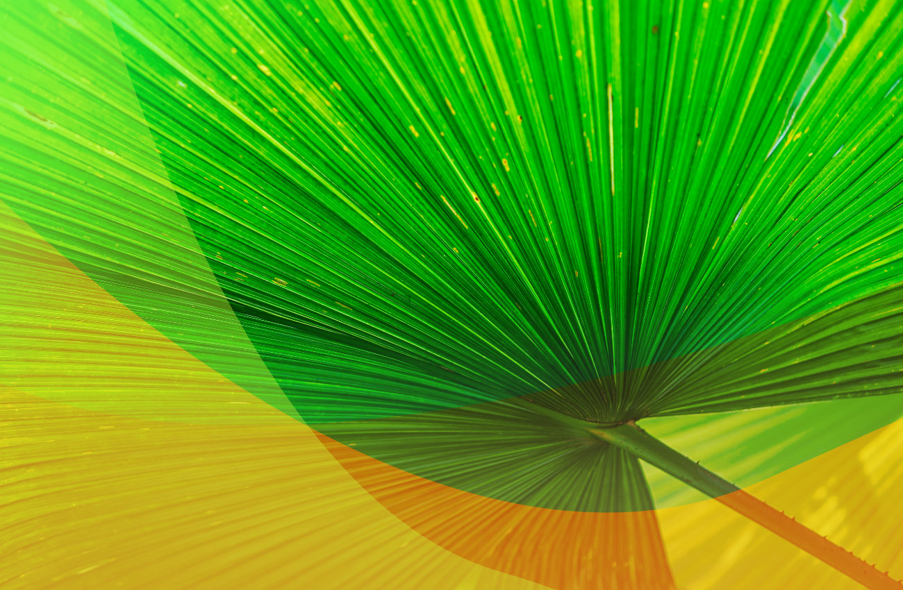 Polscy pracodawcy otwierają się na nowe kierunki rekrutacji