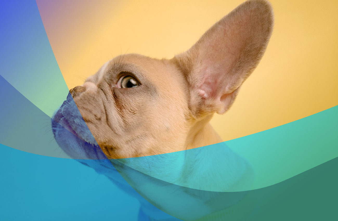 Gdy nadejdzie czas słuchania “głośnych” szeptów klienta